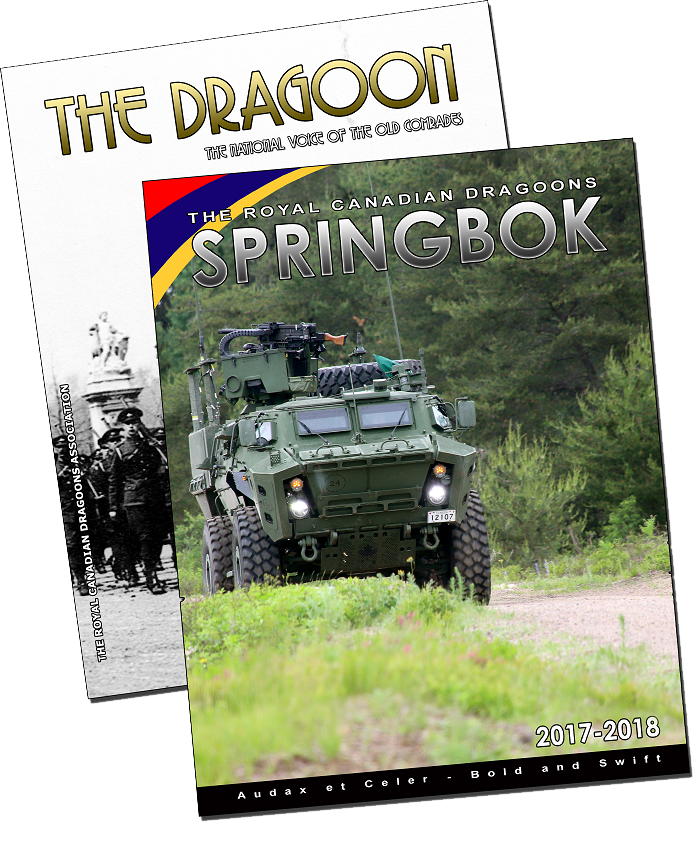 springbok_dragoon_cover_example